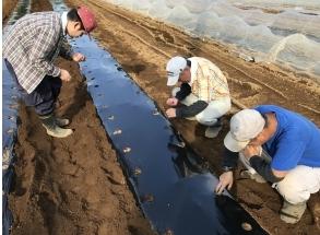 職員　Y・Sさん