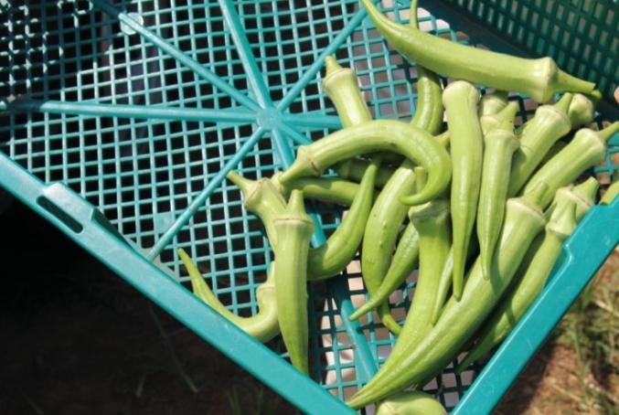 職員　Y・Sさん