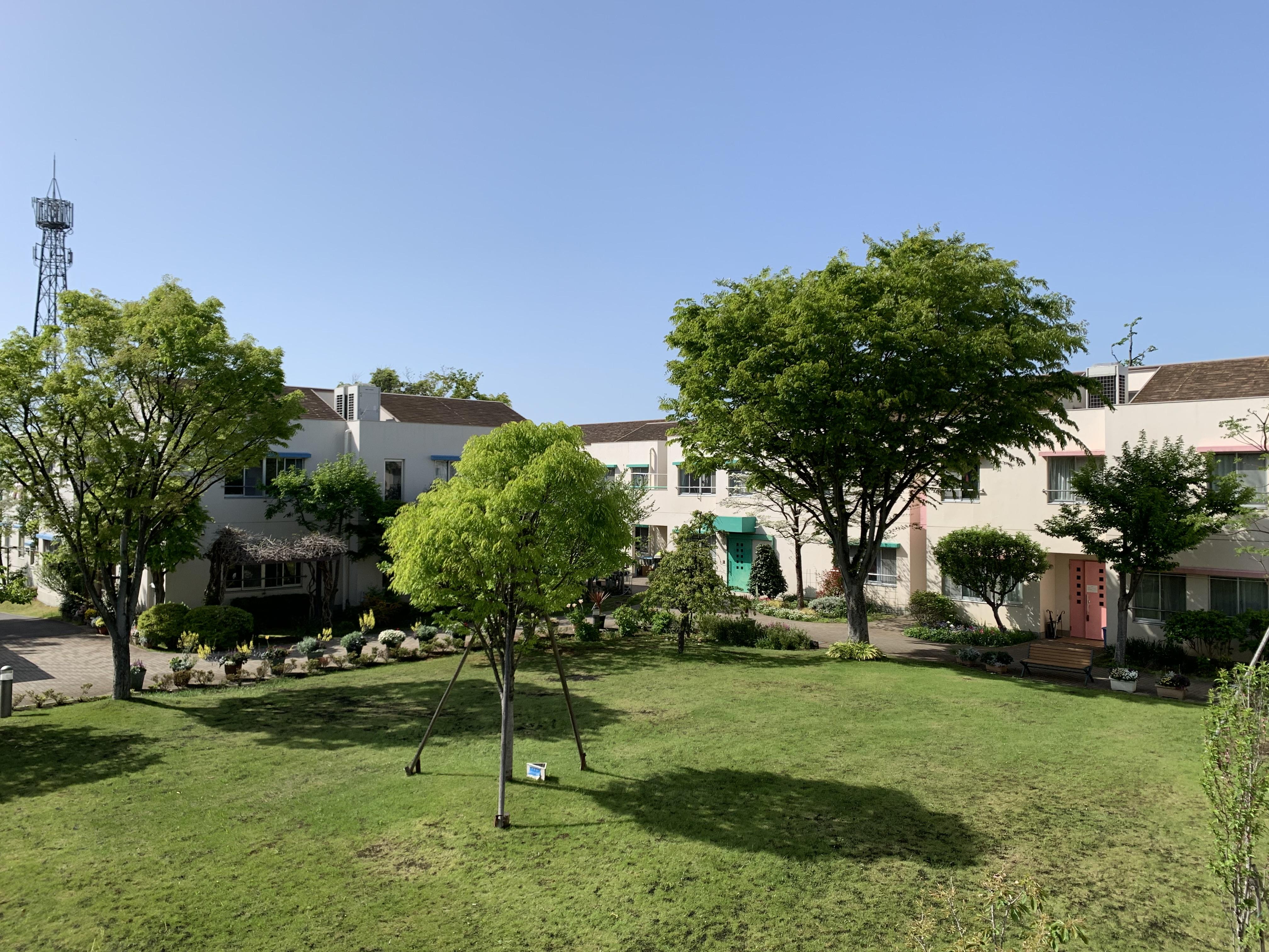 てらん広場 第１